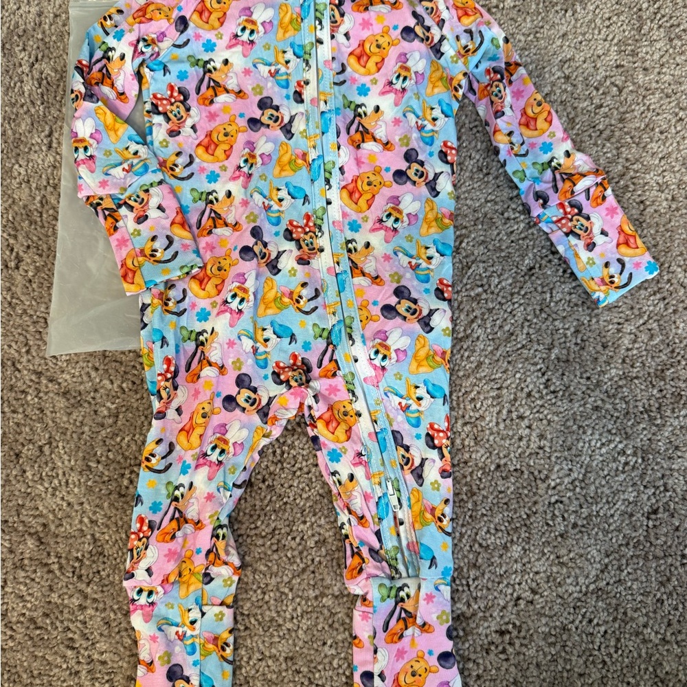 Disney Character Bamboo Zippy